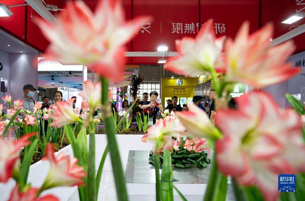 797游戏中心